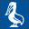 Pelican Auto Icon