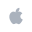 Fast Apple Repair Icon