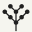 Ylide Icon