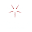 Starfish Icon