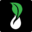 Evergreen Wrapping Icon