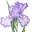 Boulevard Flower Gardens Icon