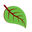 Soma Foods Icon