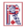 Plaid Racquet & More Icon