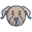 Bark N Fetch Icon