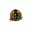 Pirate Seed Icon