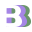 Baby Birth & Beyond Icon