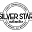 Silver Star Automotive Icon