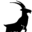 ClubAir Icon
