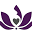 La Bella Belly Icon