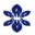 Massage Bliss & Cryo Icon