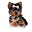 Yorkie Babies Icon