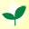 The Solar Biz Icon