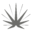 Kaya Holistic Icon