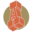 Acadia Foods Icon