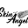 Skin Angel Aesthetics Icon