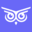 Brandwise Icon