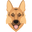 IloveLeia Icon