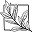 Willow Brook Icon