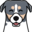 Kona Icon