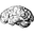 Namy.ai Icon
