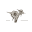 Tumbleweed Botanicals Icon