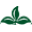 Covingtons Icon