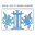 DFW Data Services Icon
