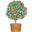 Orange Tree Imports Icon