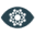 ZeroEyes Icon