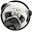 WOOF...cool stuff for dogs Icon
