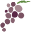 Crush Bistro & Bottle shops Icon