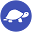 Roshi Icon
