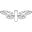 Cicada Jewelry Icon