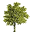 Capital Arborists Icon