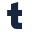 Type Icon