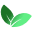 The TresLife Icon