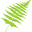 Placerville Dental Group Icon