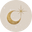 Terra Soleil Icon