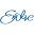 Evolve Massage & Wellness Center Icon
