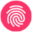 Fingerprint for Success Icon