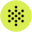PolyAI Icon