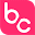 Boca Code Icon