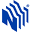 NPS Holdings Icon