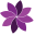 Nativis Skin Care Icon
