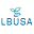 Light Blue Icon