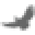 MDA Rugs Icon