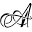Allure Aesthetic Associates Icon