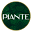 Piante Design Icon