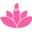Tomtami Icon